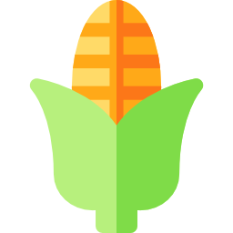 Corn icon