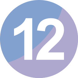 Twelve icon