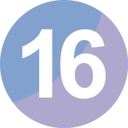 16 icon