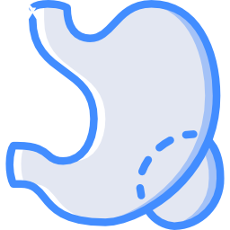 Stomach icon