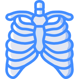 sternum Icône