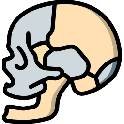 Skull icon