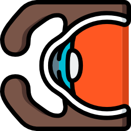 Eye icon