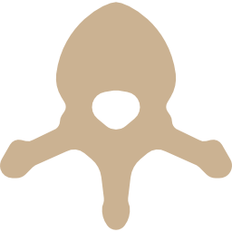 Vertebra icon