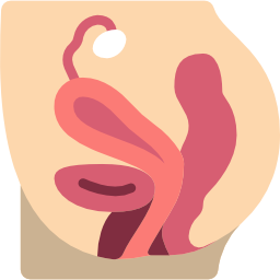 Pelvic area icon