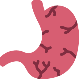 Stomach icon