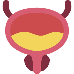 Bladder icon