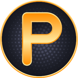 文字 p icon