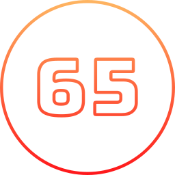 65 Ícone