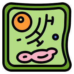 植物細胞 icon