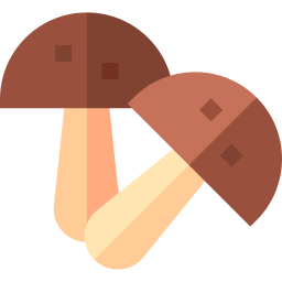 champignon Icône