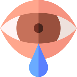 Eye icon