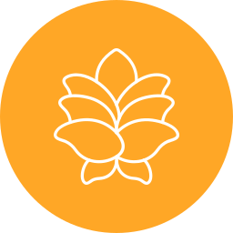 lotus icon