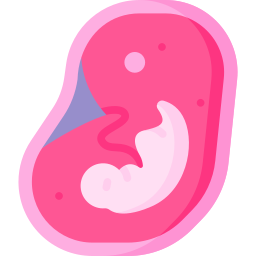 embryo icon