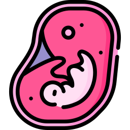 Embryo icon