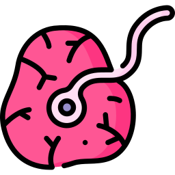 Placenta icon