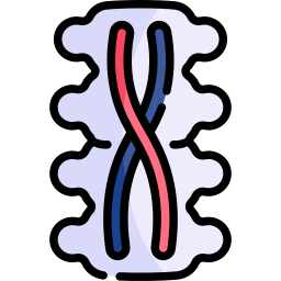 Spinal cord icon