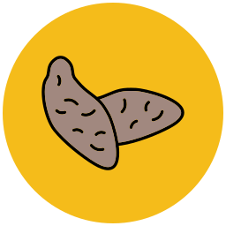 Sweet potato icon