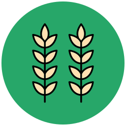 Rice icon