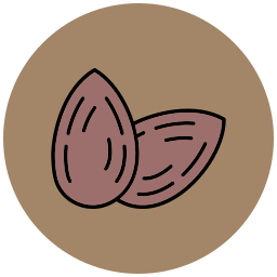 Almonds icon