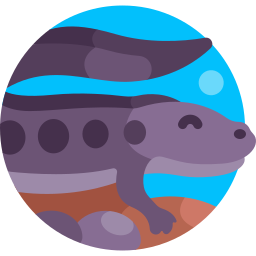 hellbender ikona