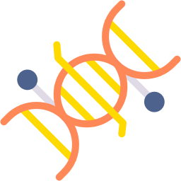 DNA Structure icon