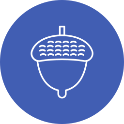 Acorn icon