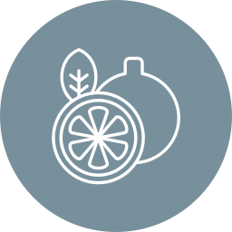 Lemon icon