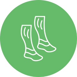 Socks icon