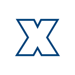 Letter x icon