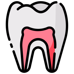 anatomy icon