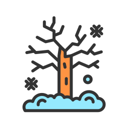 Dry Tree icon