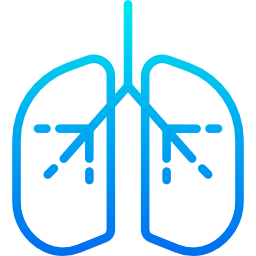 Lungs icon