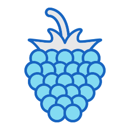 Raspberry icon