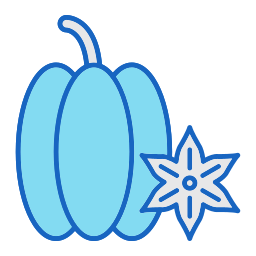 Carambola icon