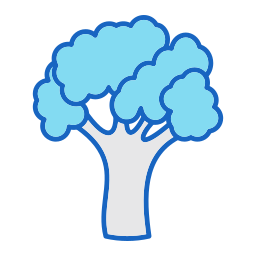 Broccoli icon