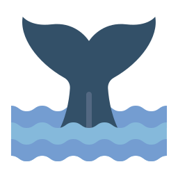 Whale icon