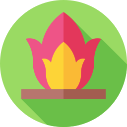 lagerfeuer icon