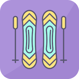 Ski sticks icon