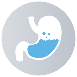 Stomach icon