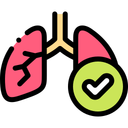 Lungs icon