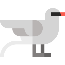 Tropic bird icon