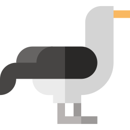 Albatross icon