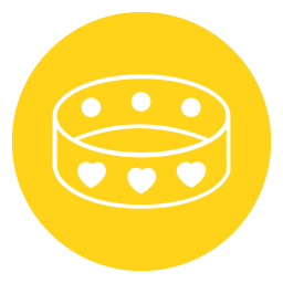 Bangle icon