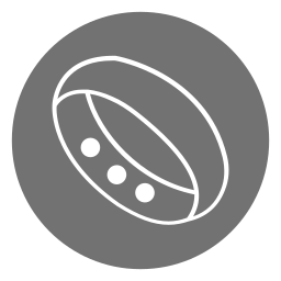 Bangle icon