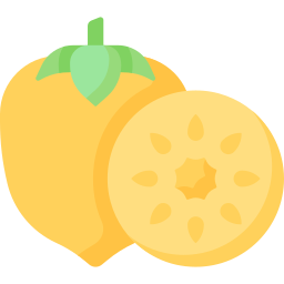 Persimmon icon