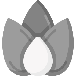 Sesame icon