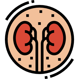 Kidney icon