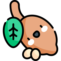 kakao icon