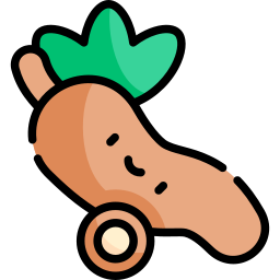 yucca icon